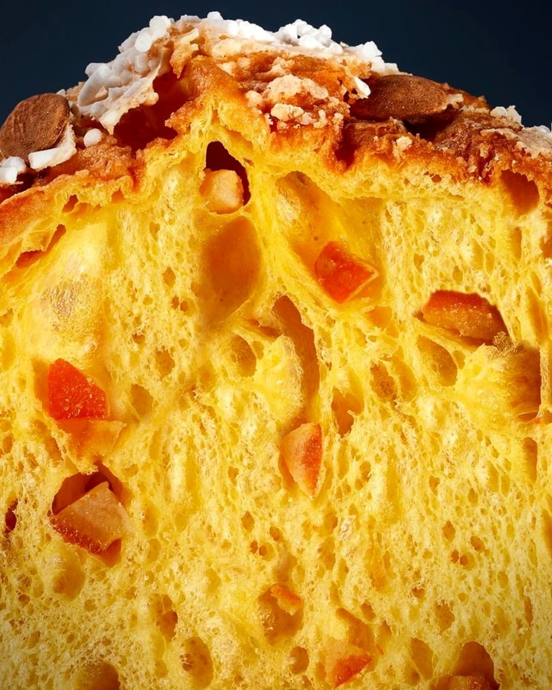 Interno del panettone all’albicocca Opinabile